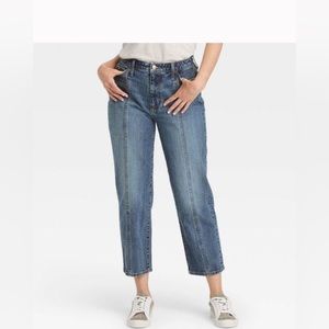 Universal Thread Curvy Vintage Straight Jeans.  Size 4.  New.